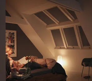 VELUX Verduisterend rolgordijn (DKL)