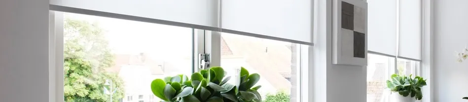 Rolgordijn gemonteerd aan een groot raam met uitzicht op groen en huizen, met planten op de vensterbank